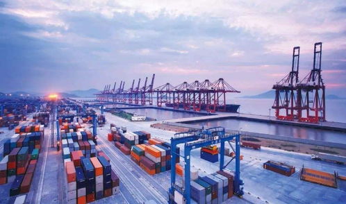 深化海陸貿易橋梁 全球供應鏈整合背景下的跨境物流專項方案